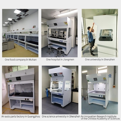 Humo endocrino laminar Hood Cabinets de Hood Cupboard PP del humo del laboratorio